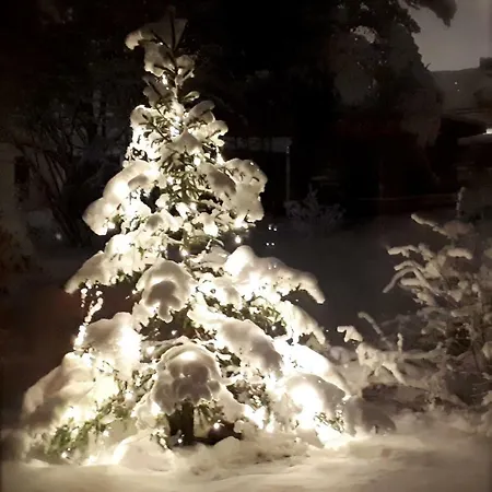 Toivo Loma-asunnot Rovaniemi