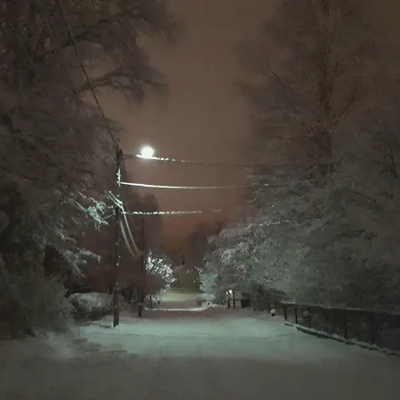 Toivo * Rovaniemi